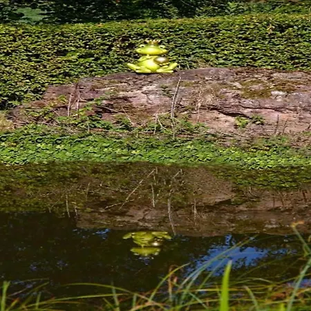 Nahe Sababurg Schloss Apartmán *